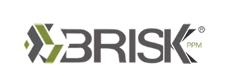 Brisk